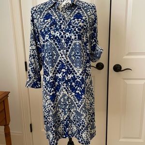 CAbi Shirt dress
